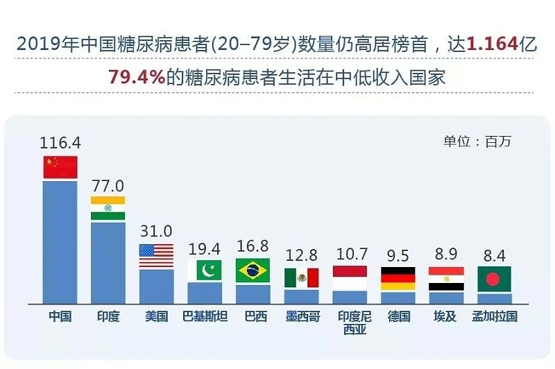 水蛭素、血糖、糖尿病