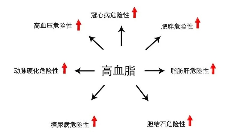 水蛭素、血脂高、血脂異常