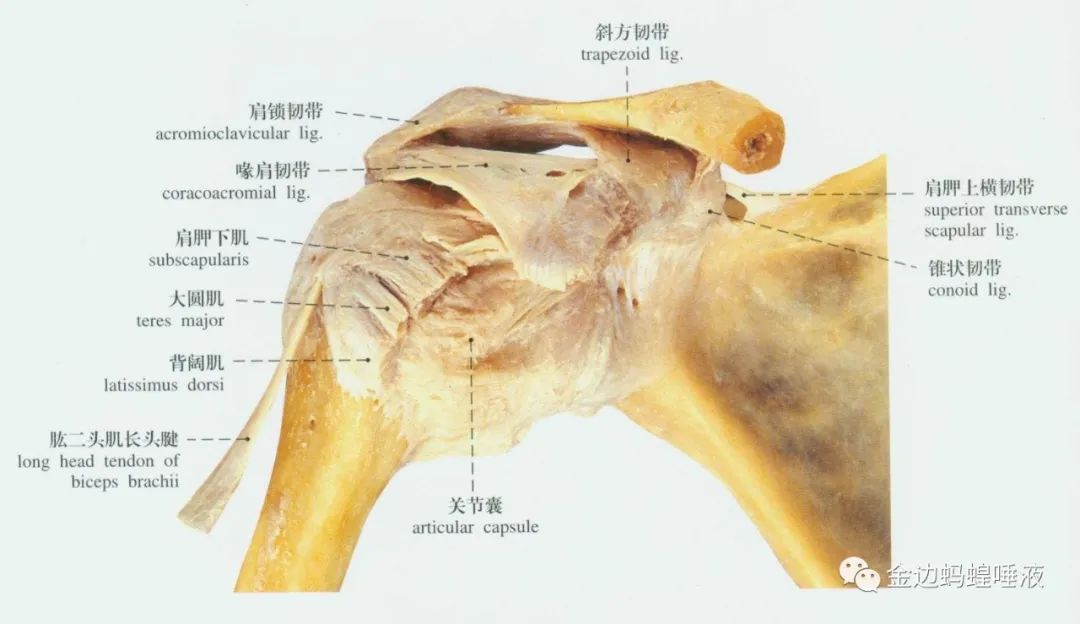 真實(shí)案例 | 腕關(guān)節(jié)囊積液，發(fā)炎腫脹，疼痛難忍，真就對(duì)它沒辦法嗎？